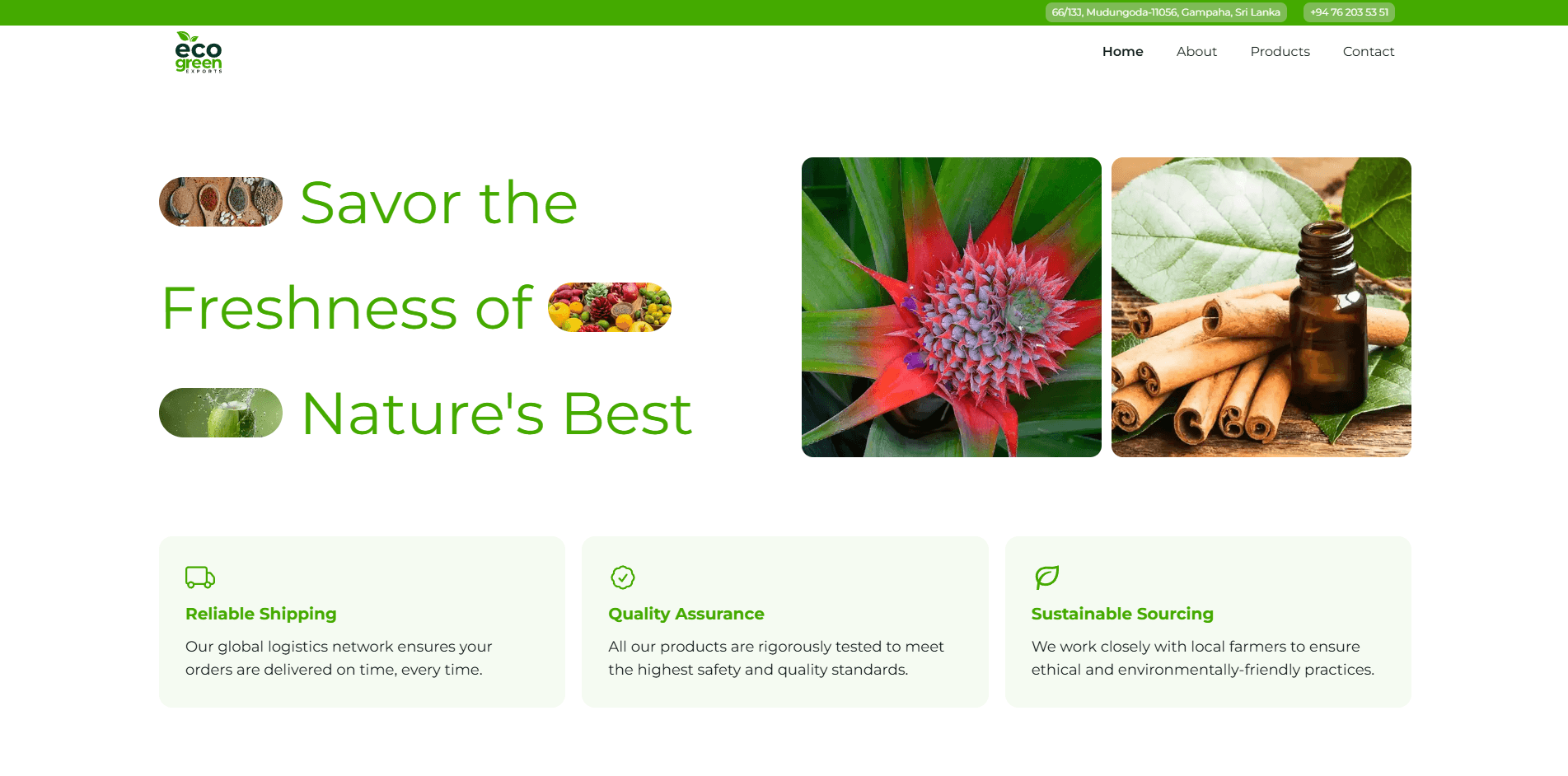 Ecogreen Exports