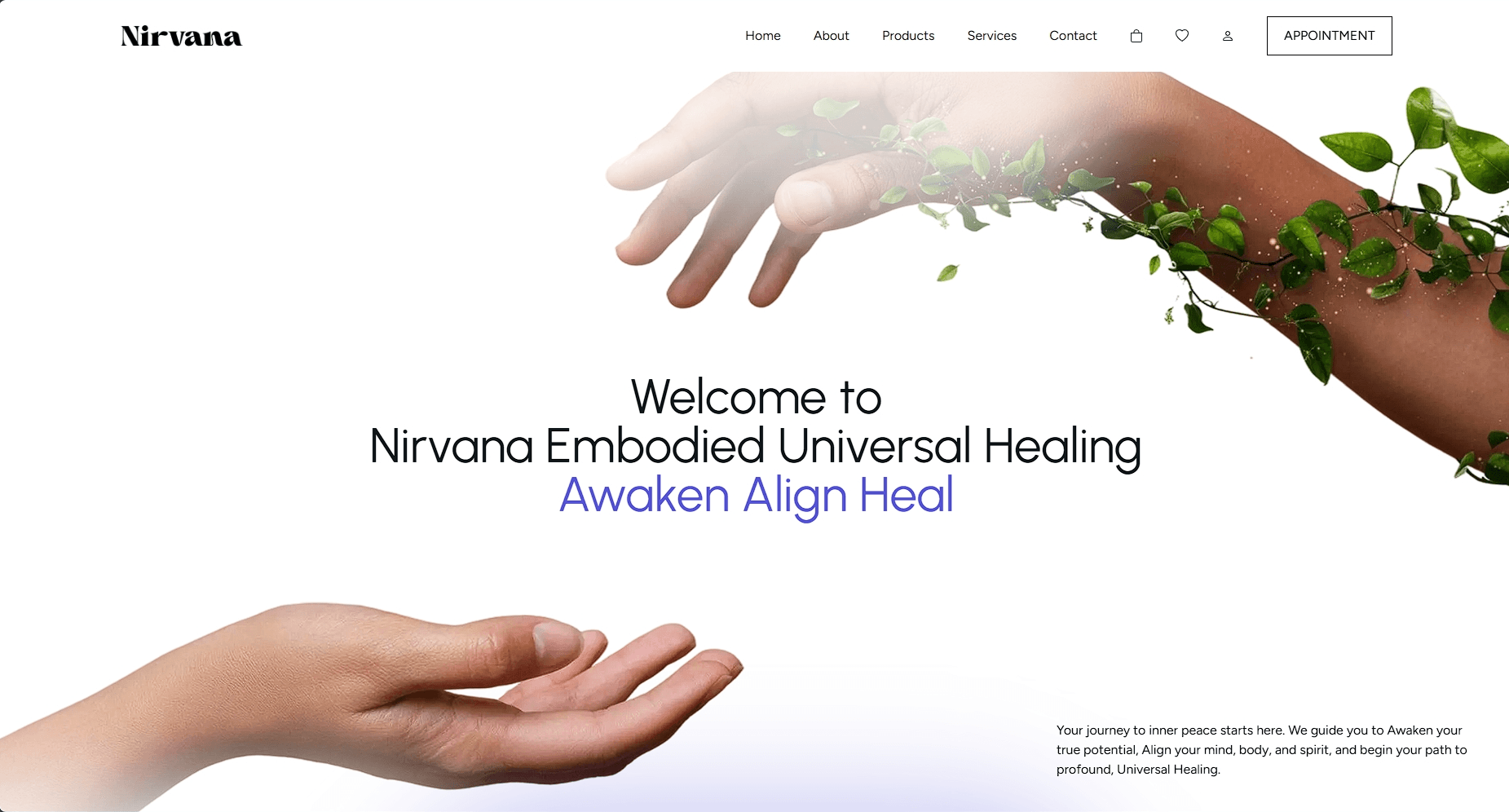 Nirvana